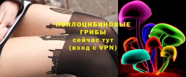 сатива Гусев