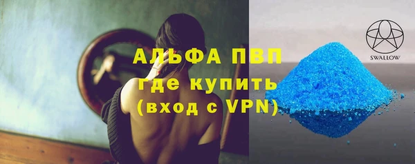 сатива Гусев