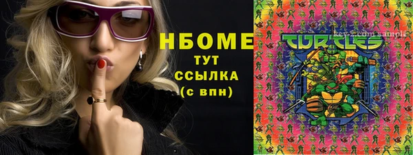 сатива Гусев