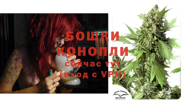 метадон Гусиноозёрск