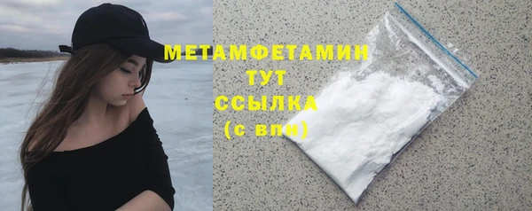 сатива Гусев