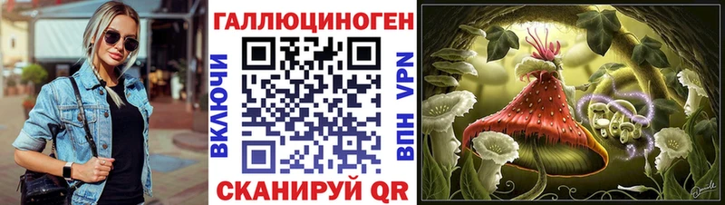Купить  Киселёвск  Галлюциногенные грибы Psilocybine cubensis 